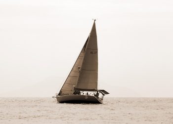 Day2_51