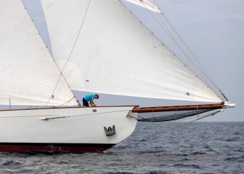 PKC24_1268